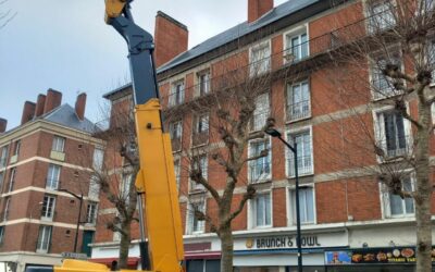 Réactivité et Sécurité – Intervention Express sur l’îlot N48-49