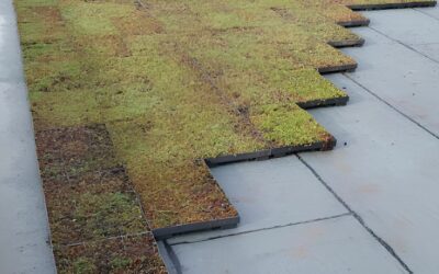 Un nouvel accueil pour le camping d’Étretat !